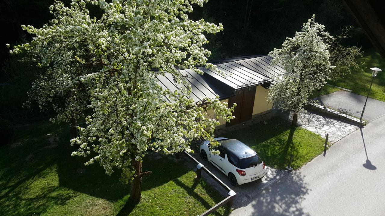 Imlau 51 Apartment Exterior photo